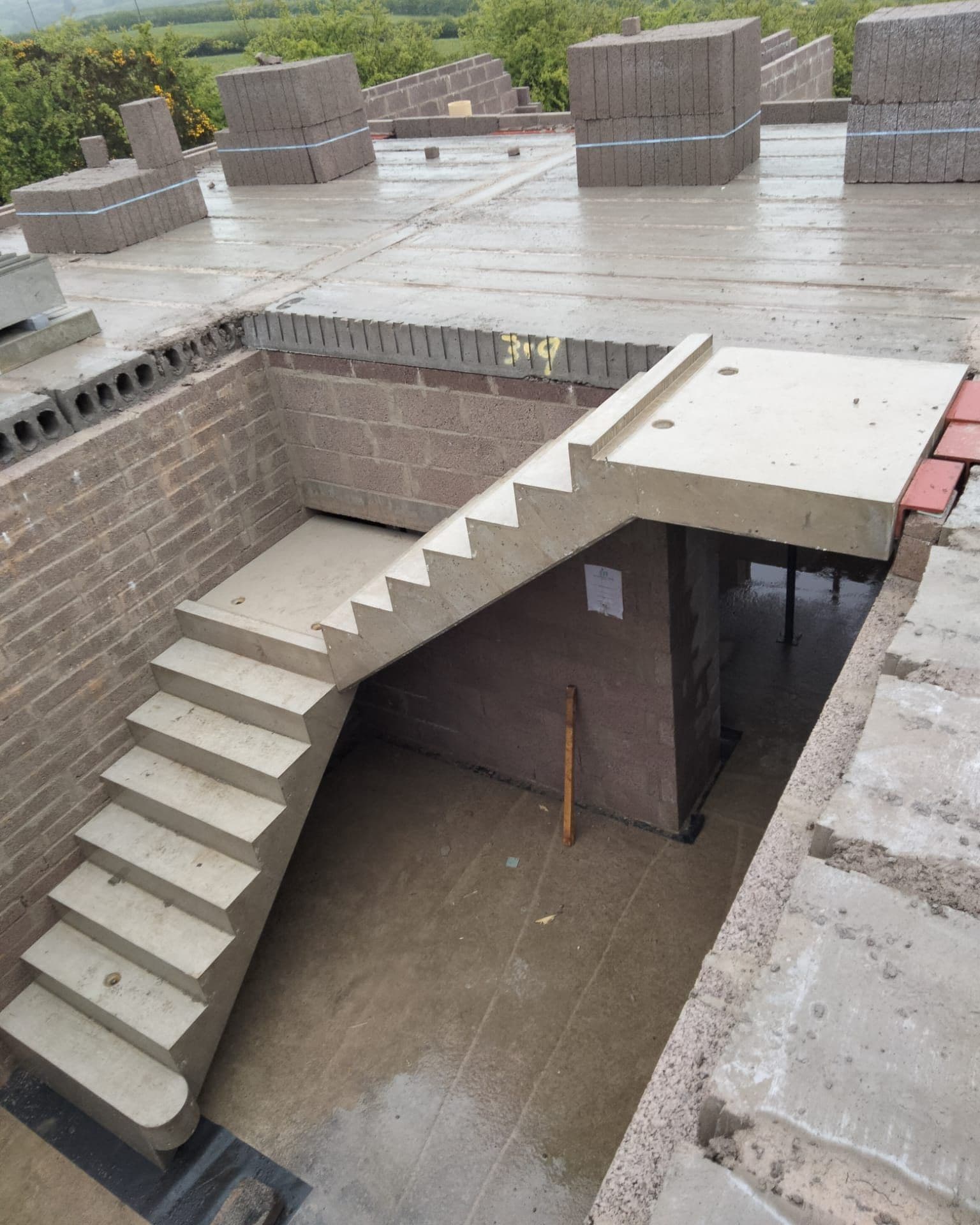 501058944_1542553503728702_5074664335354379346_n (1).jpg